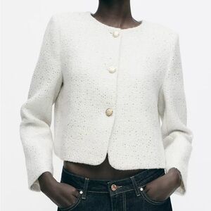 New ZARA Textured Sequin Blazer